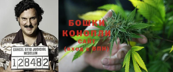 стаф Лабытнанги