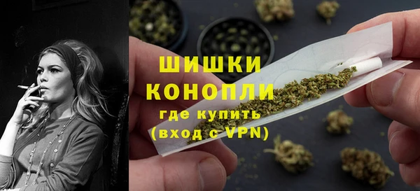 хмурый Ладушкин