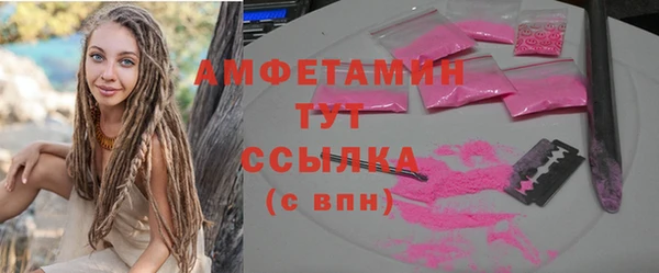 хмурый Ладушкин