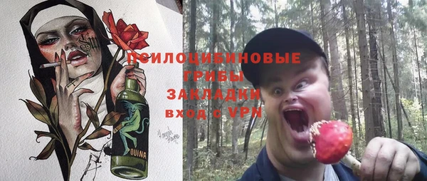 хмурый Ладушкин