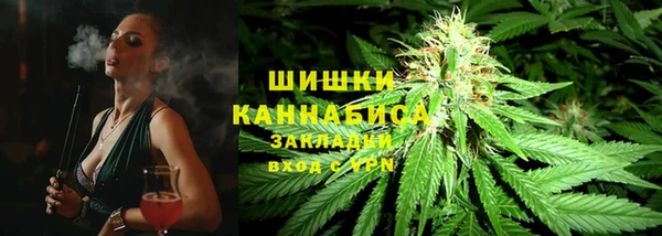 хмурый Ладушкин