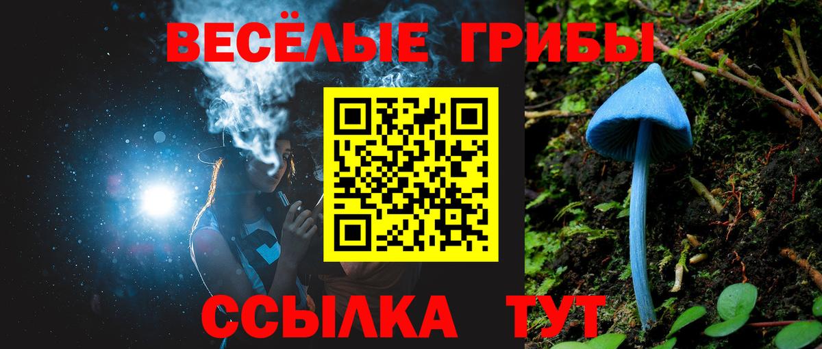 наркотики  Вход с VPN  Михайловск  Псилоцибиновые грибы Magic Shrooms  Галлюциногенные грибы прущие грибы 